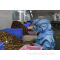 Walnut Kernels Light Pieces (LP) van Yunnan